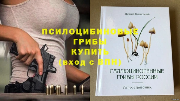 мефедрон Гусиноозёрск