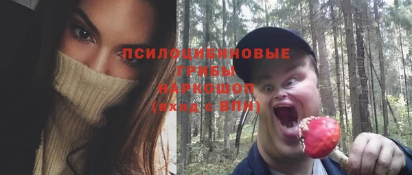 дурь Дмитриев