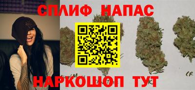 крисы Гусиноозёрск