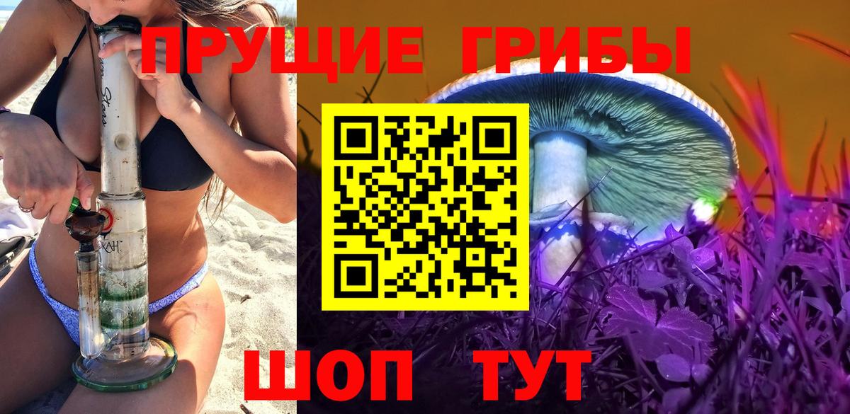 Дятьково  Галлюциногенные грибы мухоморы  Вход с VPN 