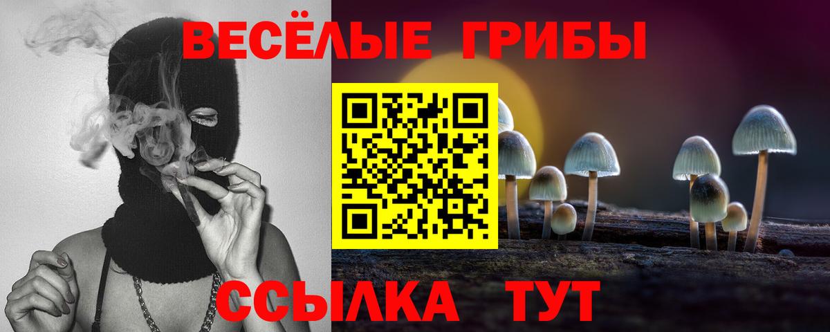 Галлюциногенные грибы прущие грибы Дятьково