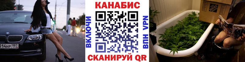 МАРИХУАНА SATIVA & INDICA  закладка  Дятьково 